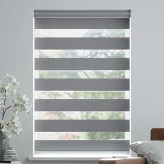 Zebra Blinds